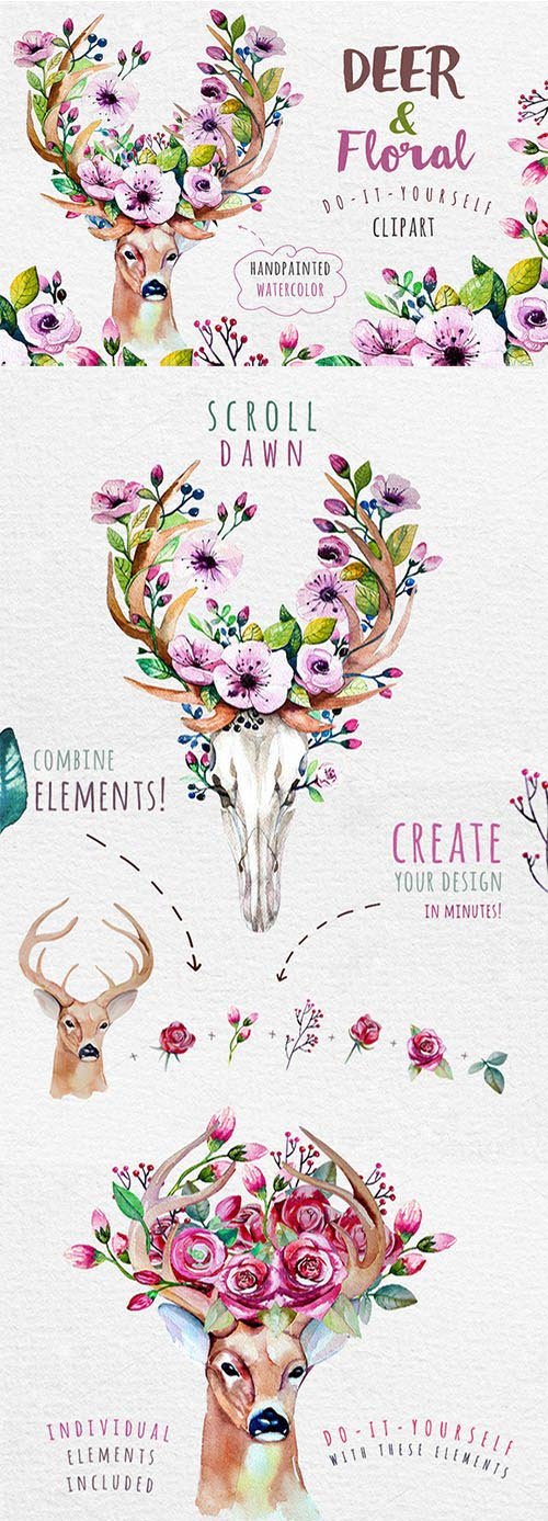 Deer, skull & floral - CM 334111