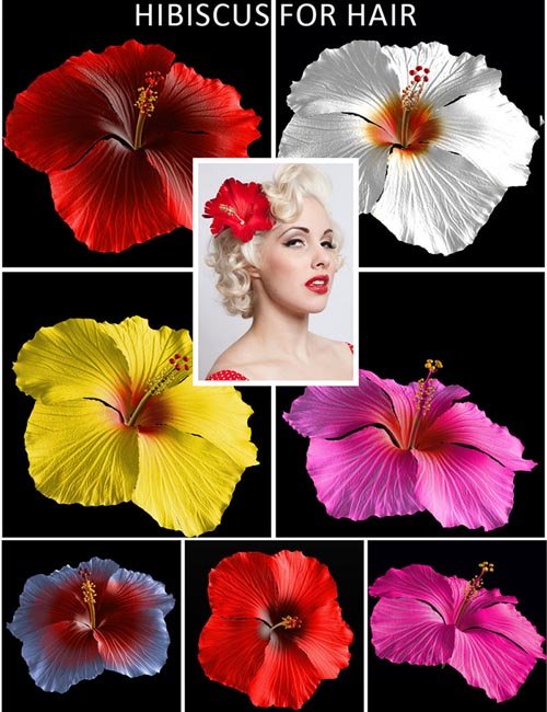 Hibiscus Flower for Hair