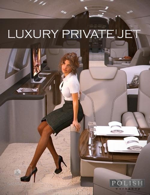 Luxury Private Jet