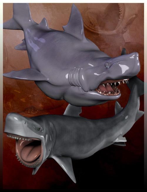 Toonimal Sharks
