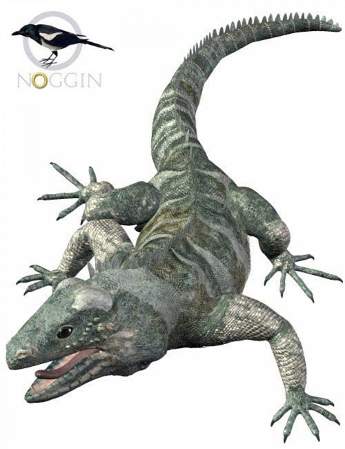 Noggin's Iguana