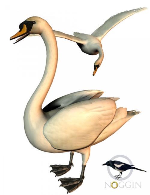Noggin's Poser Swan [. Duf and iray update ]
