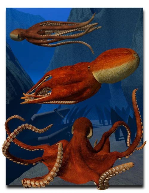 Octopus [ .DUF & Iray UPDATE ]