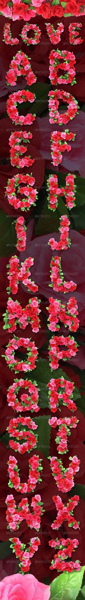 Graphicriver Roses Alphabet 6632568