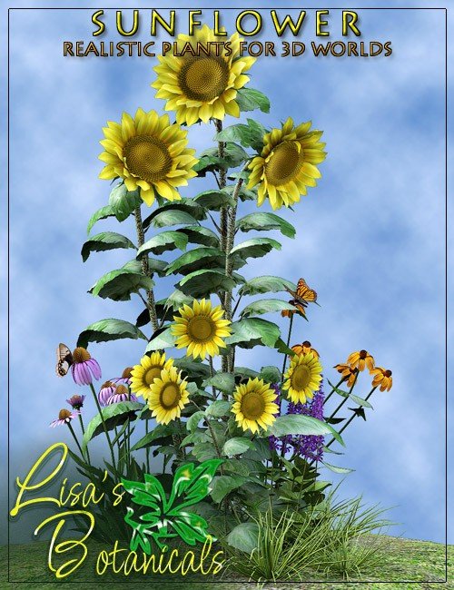 [UPDATE] Sunflower
