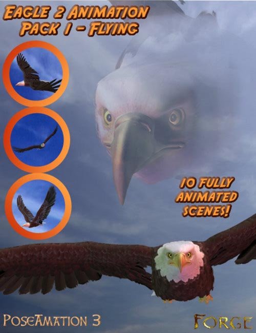 Eagle 2 Animation Pack 1 - Flying