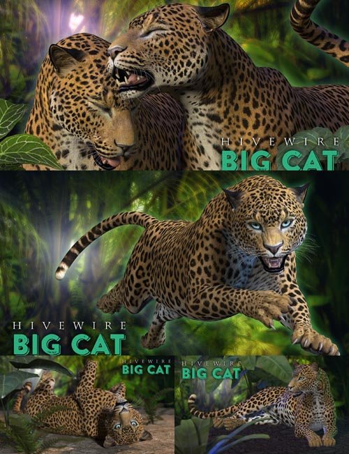 HiveWire Big Cat