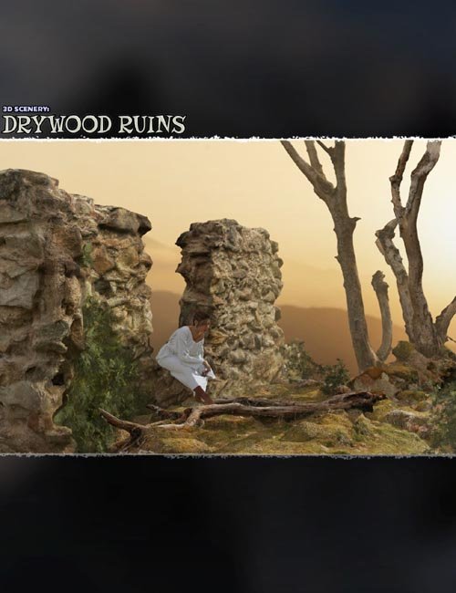 3D Scenery: Drywood Ruins