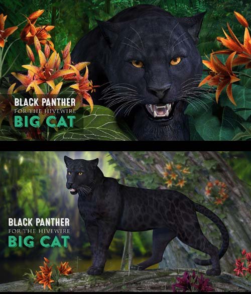 CWRW Black Panther for the HiveWire Big Cat