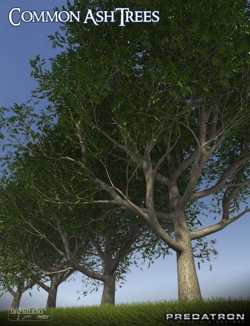 Predatron Common Ash Trees