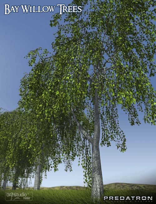 Predatron Bay Willow Trees