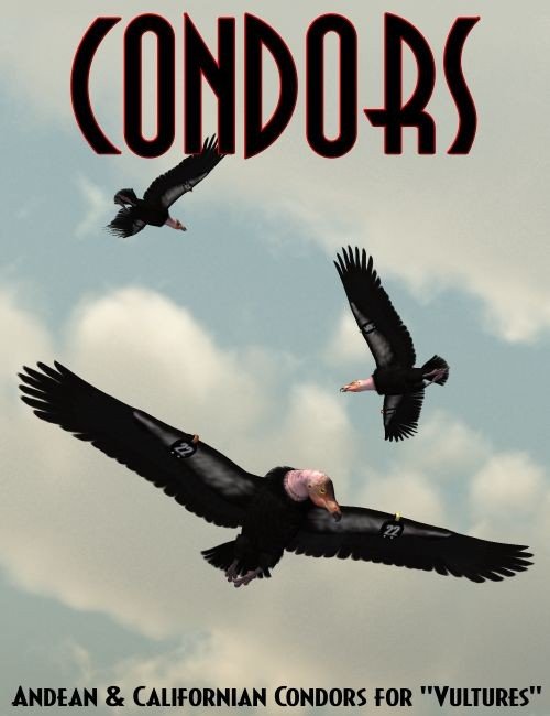 Songbird ReMix: Condors