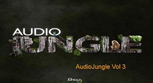 AudioJungle Bundle Vol 3