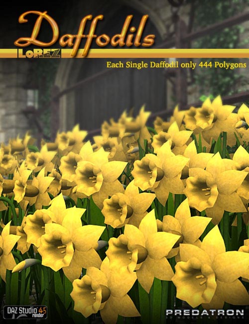 LoREZ Daffodils