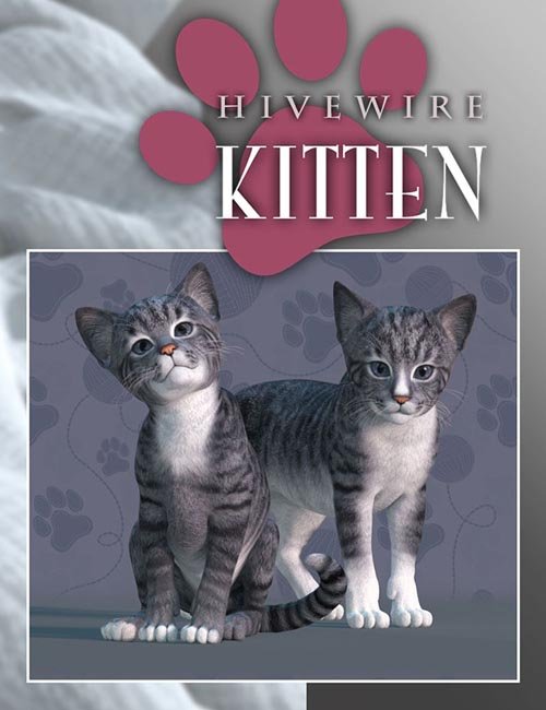 HiveWire Kitten