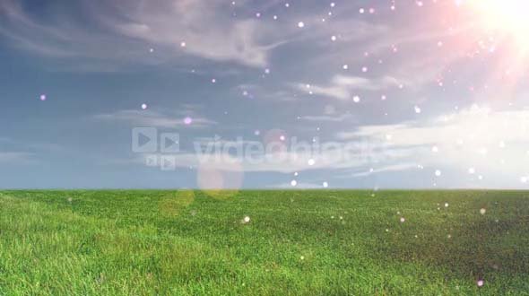 Floating Particles Open Field