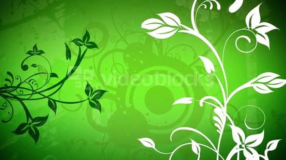 Green and White Flourishes and Flowers