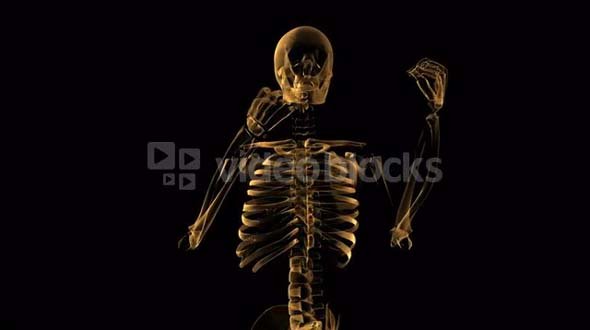 spinning skeleton body human