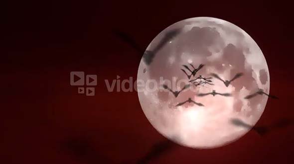 Scary Bats Fly on Full Moon