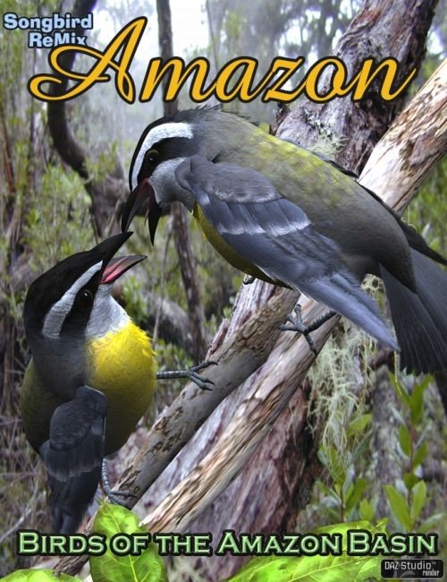Songbird ReMix: Amazon