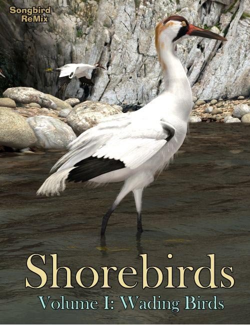 Songbird ReMix: Shorebirds Volume I