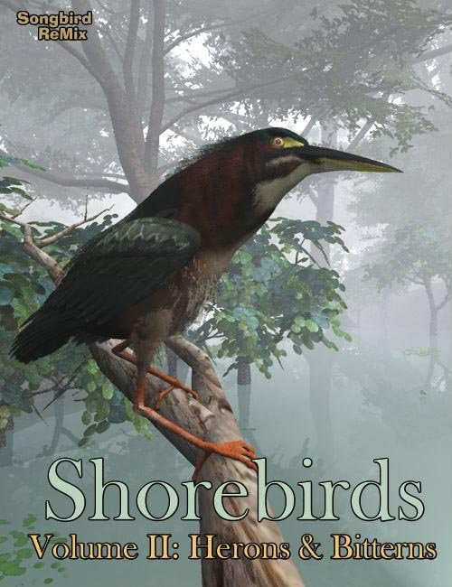 Songbird ReMix: Shorebirds Volume II