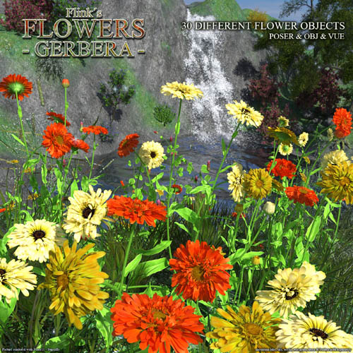 Flinks Flowers - Flower 2 - Gerbera