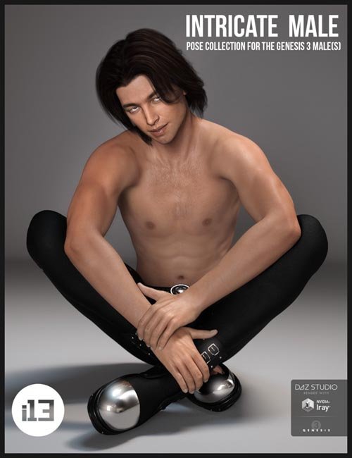 i13 Intricate Male Pose Collection for the Genesis 3 Male(s)