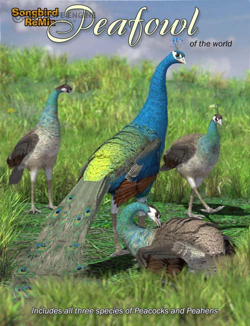 Songbird ReMix Peafowl of the World