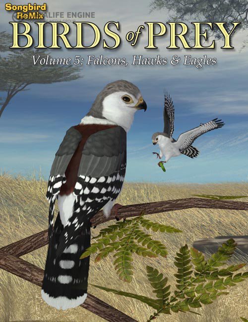 Songbird ReMix Birds of Prey Vol 5 - Falcons, Hawks & Eagles