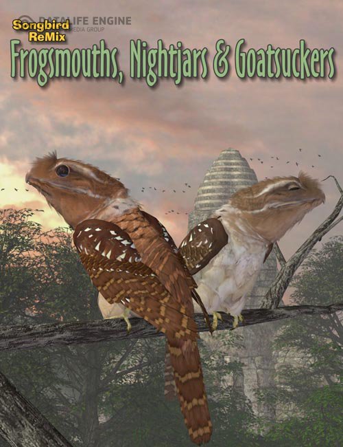 Songbird ReMix Frogmouths, Nightjars & Goatsuckers