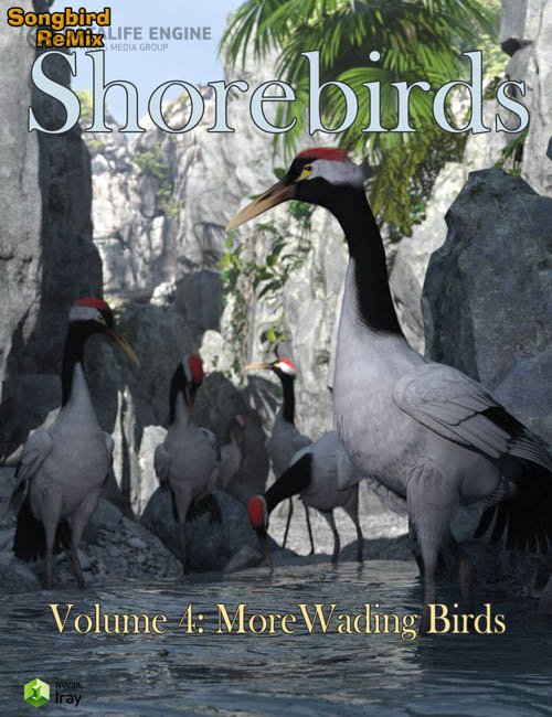 Songbird Remix Shorebirds Vol 4 - More Wading Birds