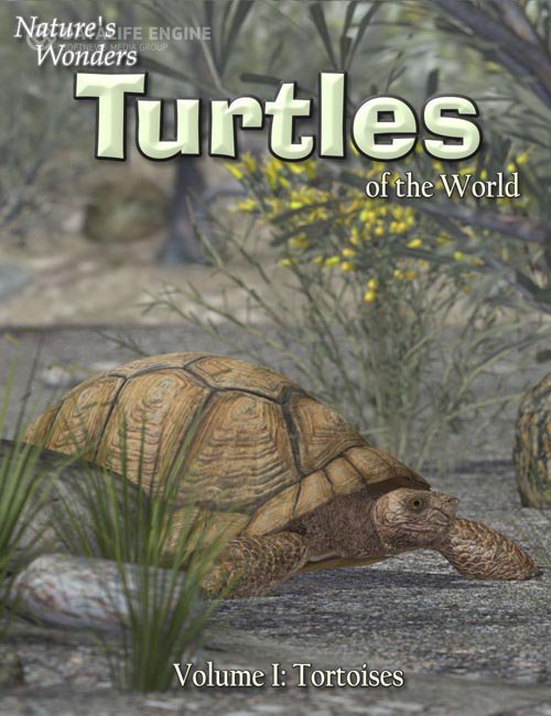 Nature's Wonders Turtles of the World Vol. 1