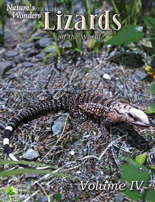 Nature's Wonders Lizards of the World Vol. 4