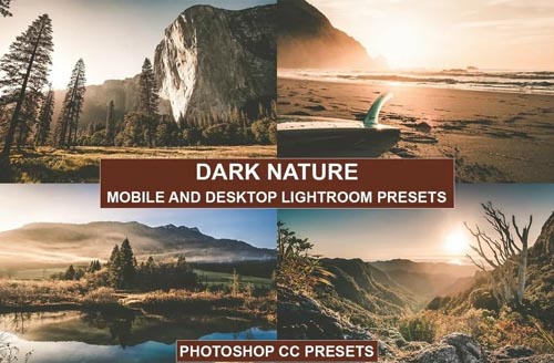 Desktop and Mobile Lightroom Presets Nature Tones - 1367935