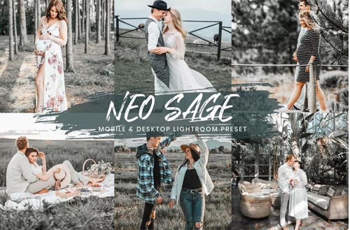 15 Mobile Lightroom Presets Neo Sage - 1367744