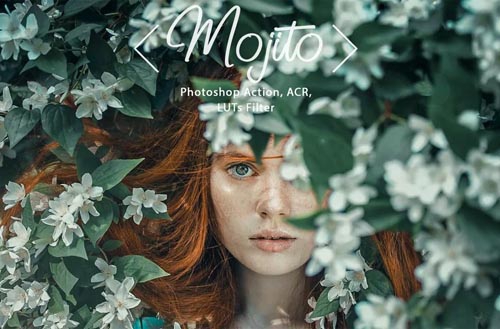 8 Photoshop Actions ACR Presets LUT Filters Mojito - 1364921