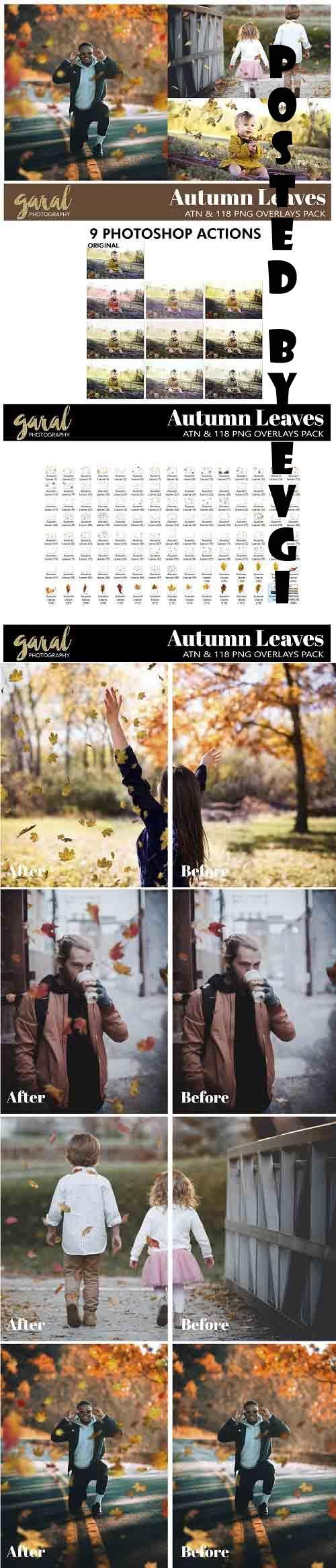 118 Falling Leaves Overlays And Ps Actions - 664526